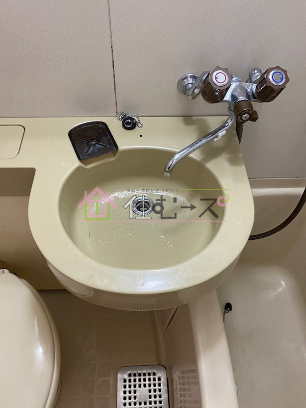 ルネッサンスエレガンス その他4