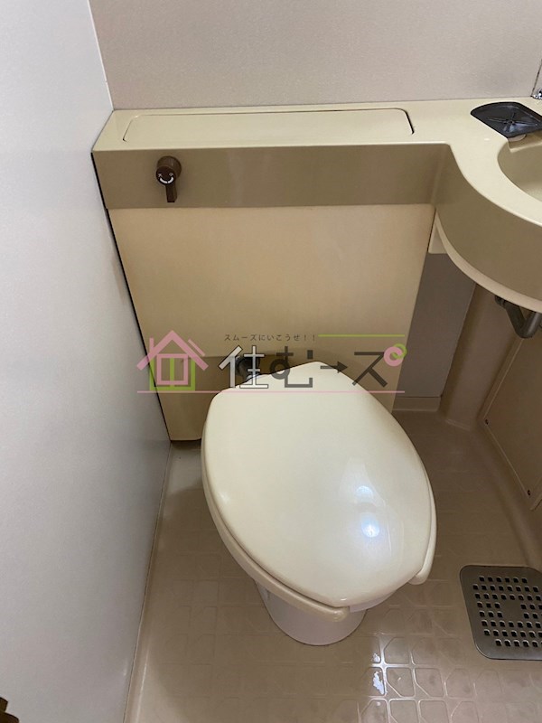 ルネッサンスエレガンス その他5