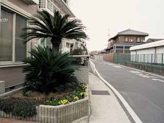 レオパレス藤本Ⅱ その他7