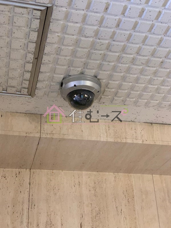 千林ロイヤルハイツ その他外観5