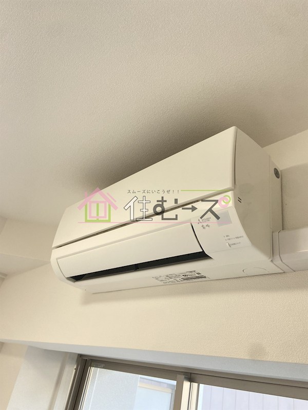 スプランディッドⅦ その他3