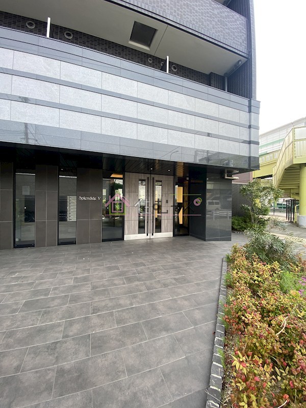 スプランディッドV その他1