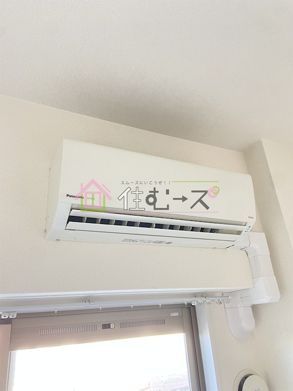 スプランディッドV その他4