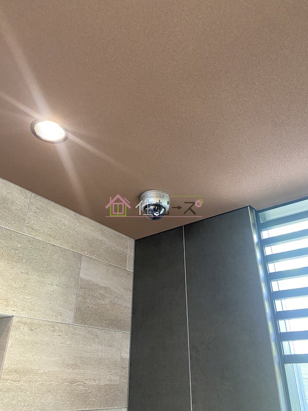 スプランディッドV その他外観6