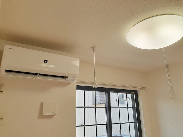 ｐｅａ その他1