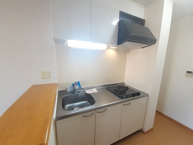 ワン・パーパスピュアⅢ キッチン