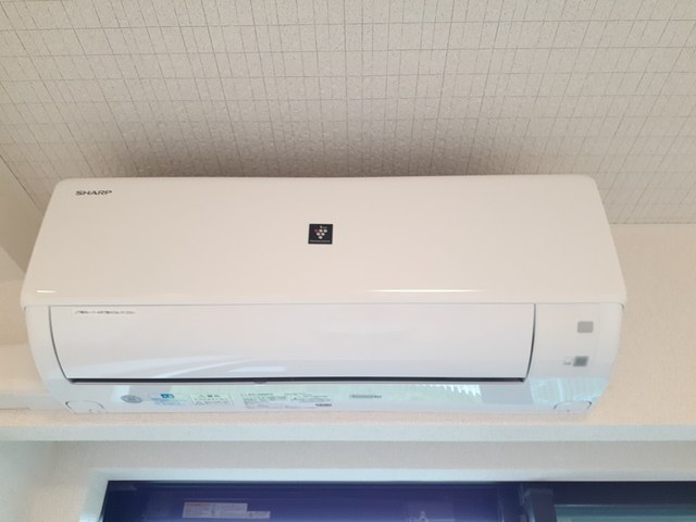 あどばんす蘭 その他3