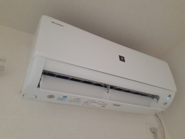 アルカン　シェル　Ⅱ その他3