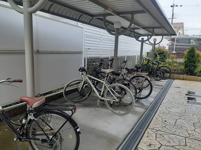 アルカン　シェル　Ⅱ その他6