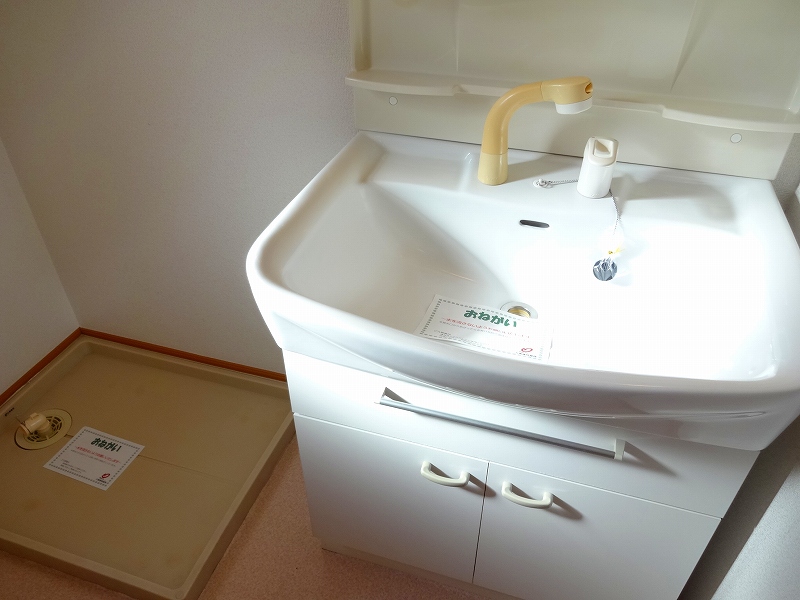 ラフレシール その他1