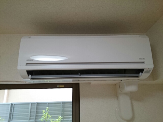 Ｌａ・Ｌｕｃｅ　ｓｔｒａｄａ その他2