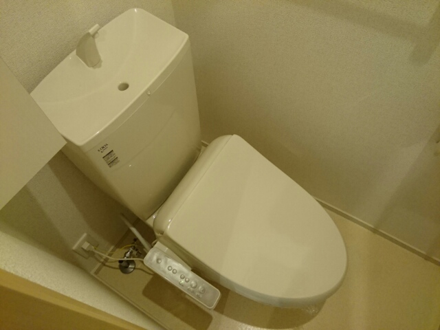 Ｌａ・Ｌｕｃｅ　ｓｔｒａｄａ その他5