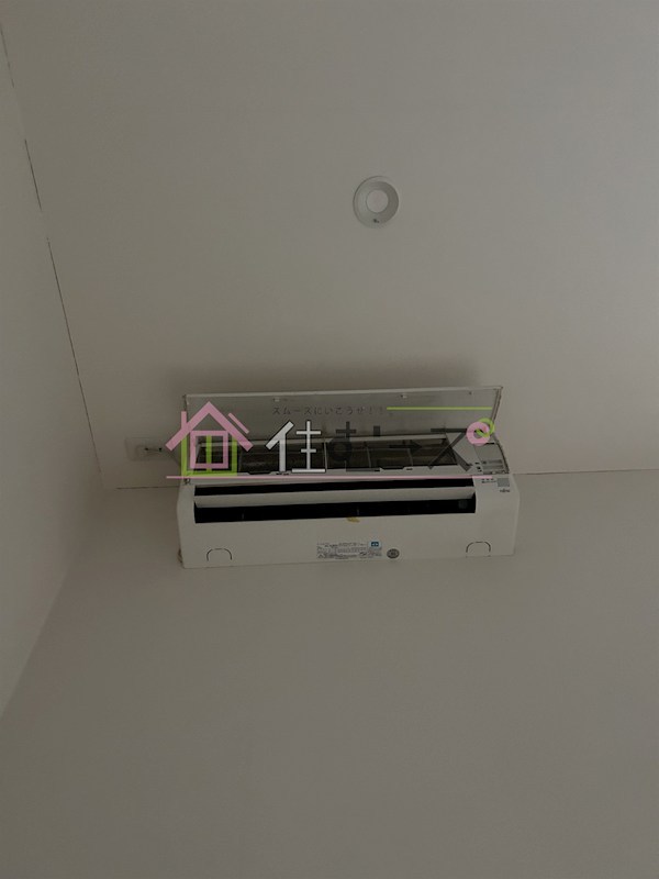 フクシア　アベニュー その他2