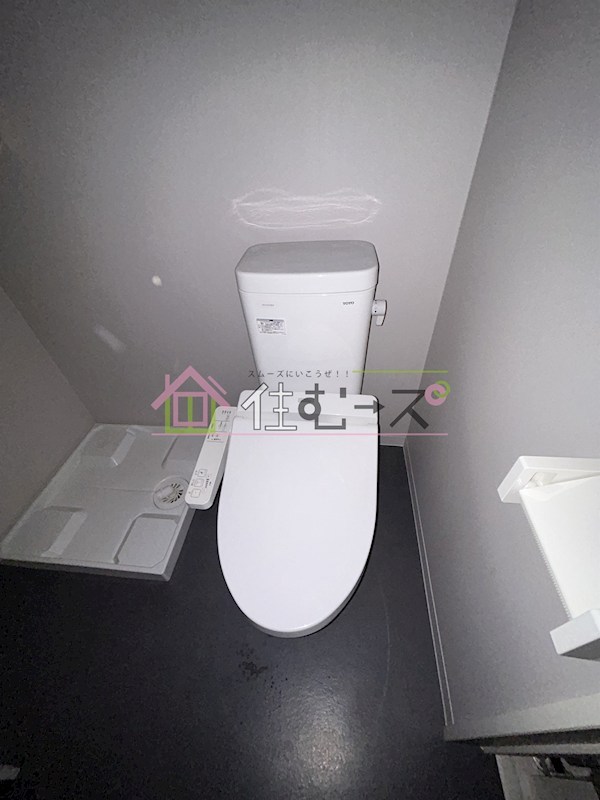 フクシア　アベニュー その他3