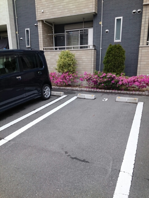 モーデカーサ その他6