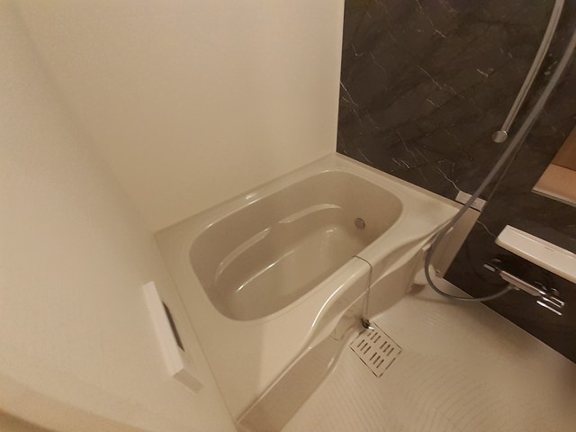 藤阪東レジデンス八弘 風呂画像