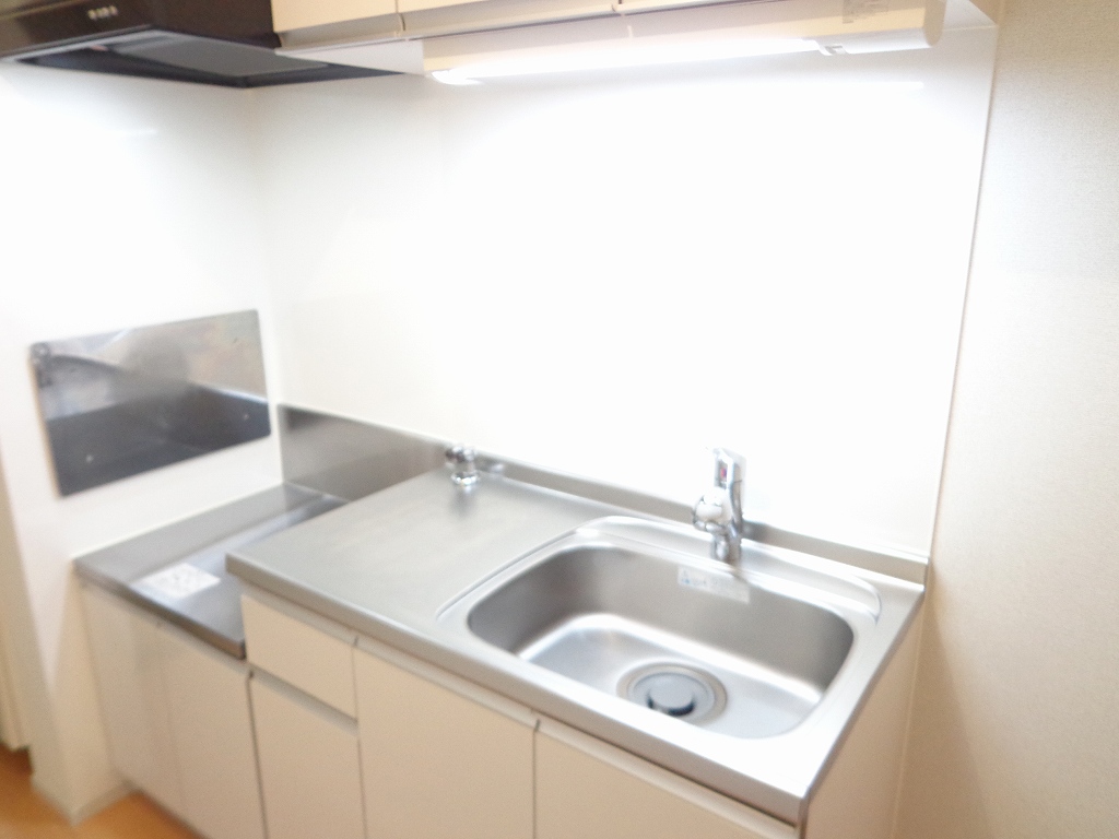 ザ　ネクストステージ　パートⅢ キッチン