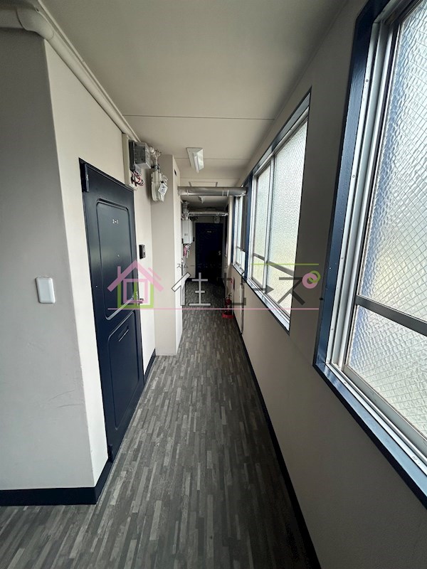 ルバート池島 その他外観3