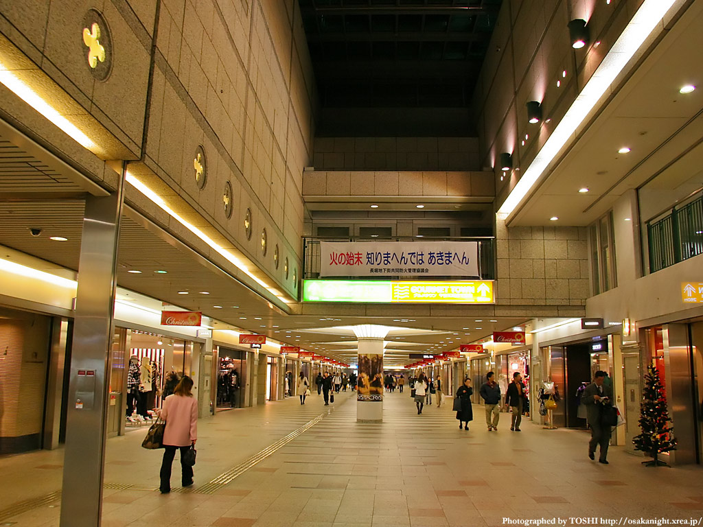 エイペックス心斎橋東 周辺画像10