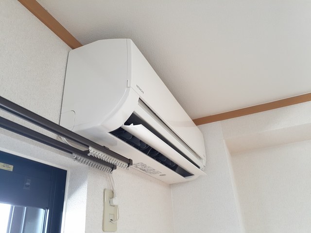 アクティブフロッグ その他1