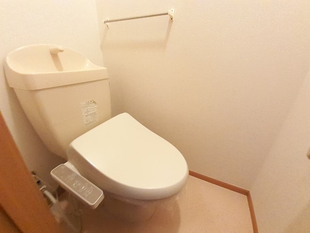 アクティブフロッグ その他5