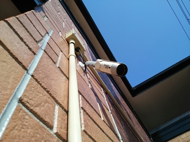 アクティブフロッグ その他6