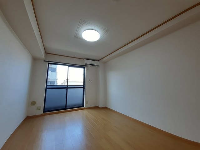 アクティブフロッグ リビング