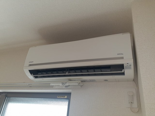 フェリス　ウラタ その他3