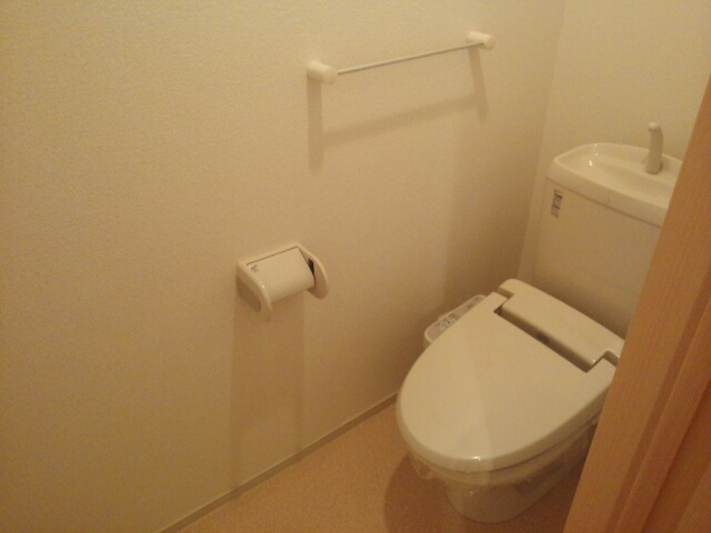 プルメリア その他3