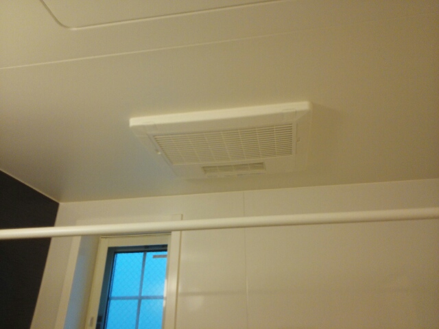 プルメリア その他4