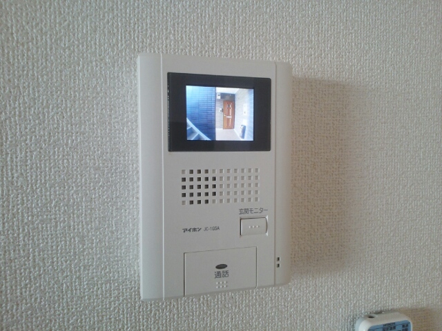 プルメリア その他6