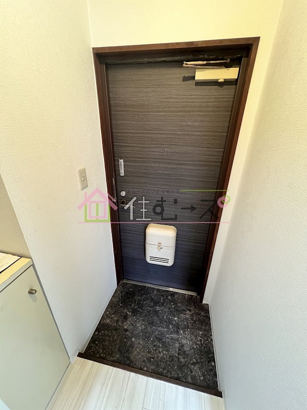 グリーンブリッジハイツ 玄関