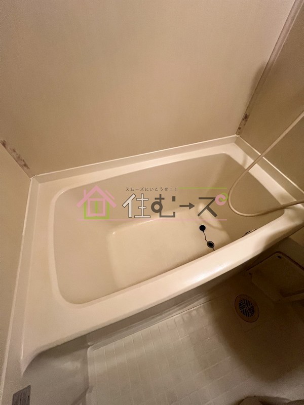 グリーンブリッジハイツ 風呂画像