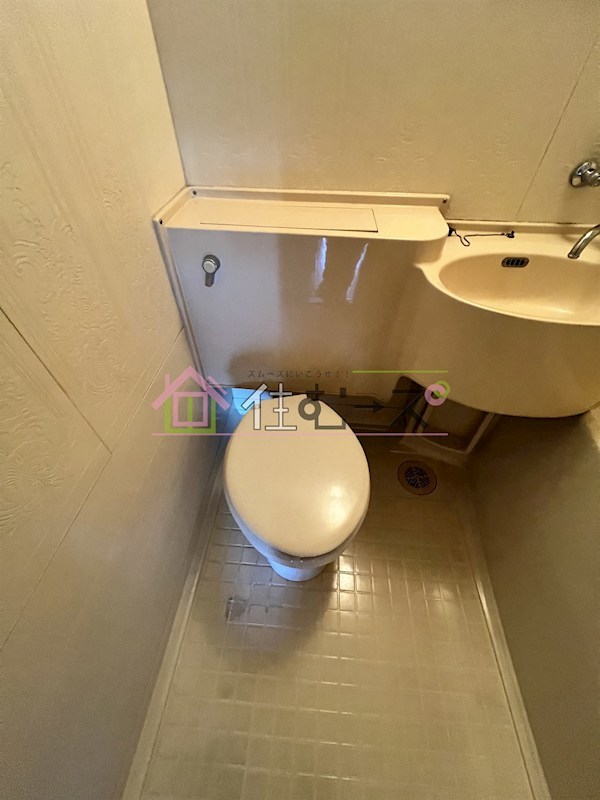 ホワイトグロリア その他3