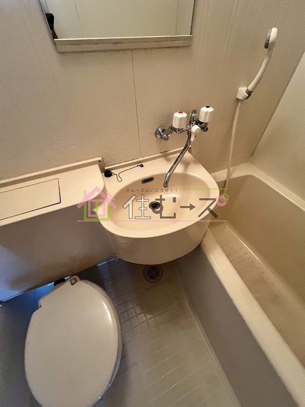 ホワイトグロリア その他4