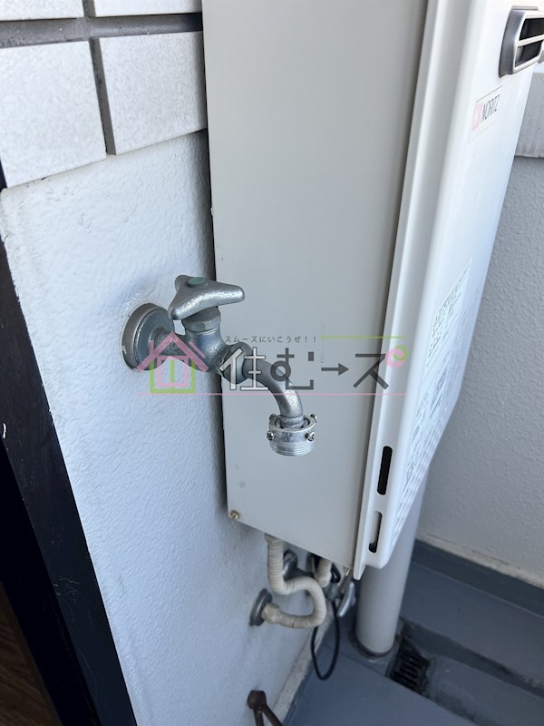 ホワイトグロリア その他6