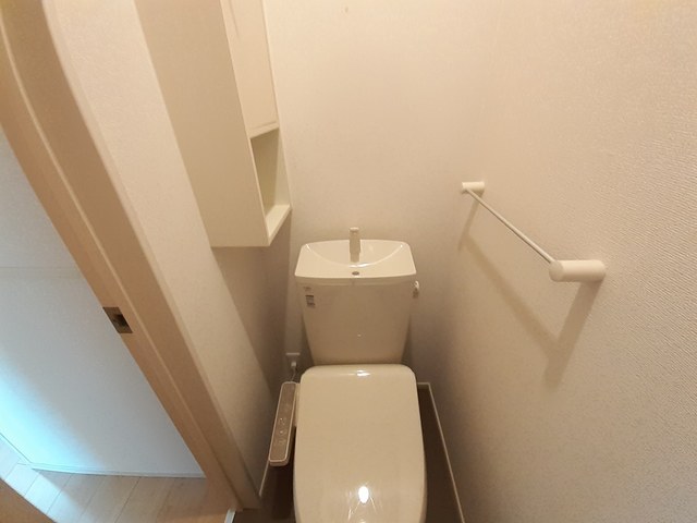 プラシード その他2