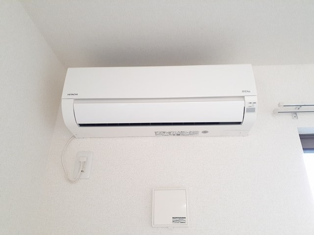 プラシード その他3