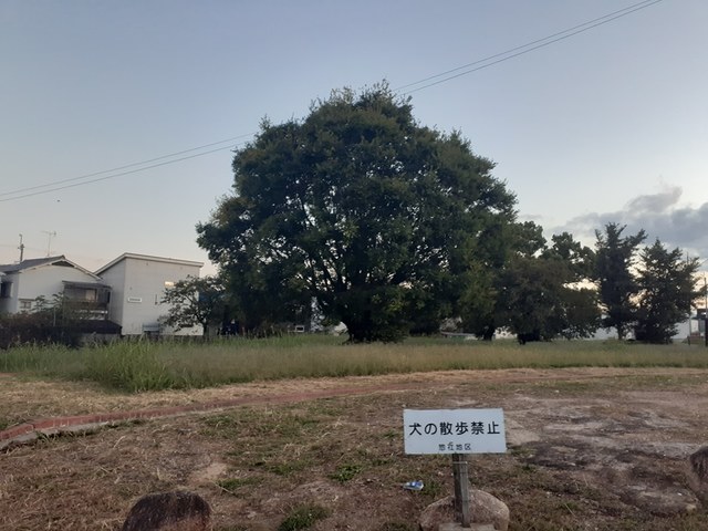 スペロ大井 その他外観6