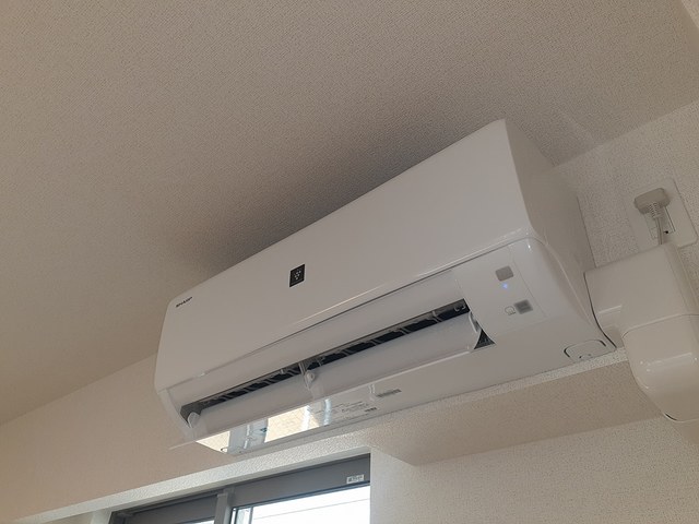 アルドーレ その他3