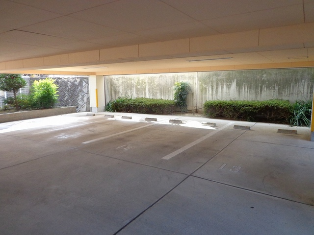 チュリス千里 その他6