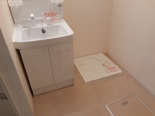 コンソラータ その他2