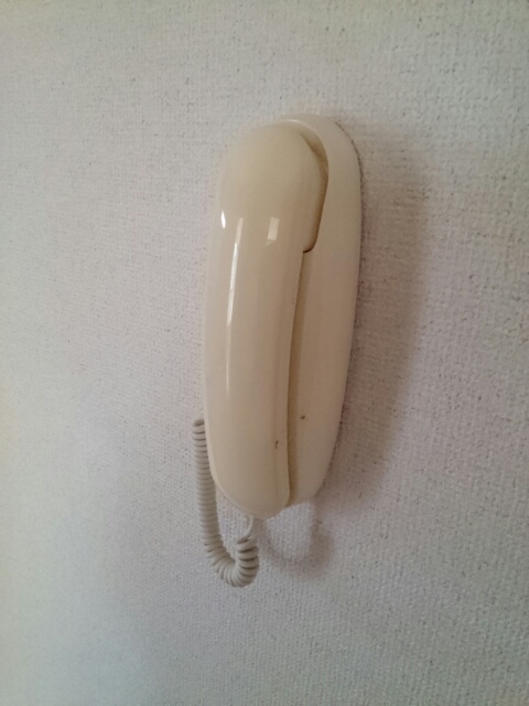 オリーブ長尾 その他4