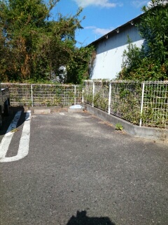 オリーブ長尾 その他7