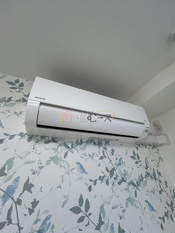 アビーコリーヌ その他2