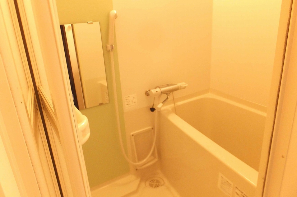 レオネクストアヴリール九条 風呂画像