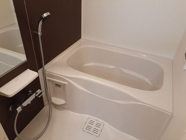 ロンガ　ヴィータ和泉 風呂画像