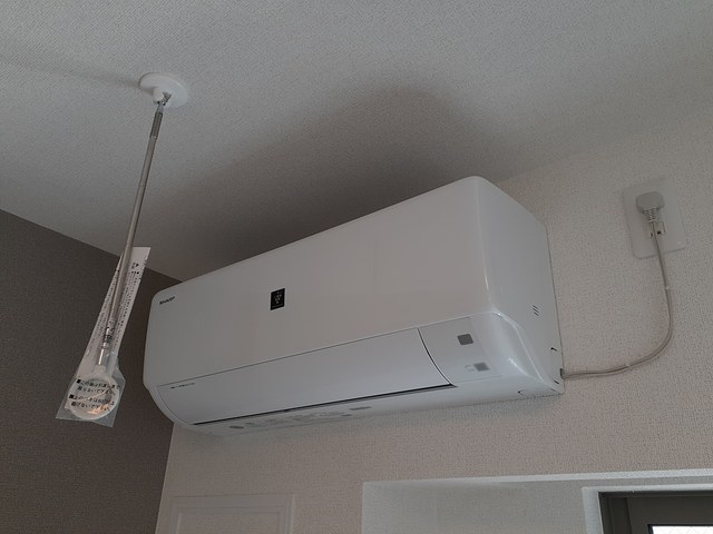 カーサ・ヴェルデ　梶 その他6