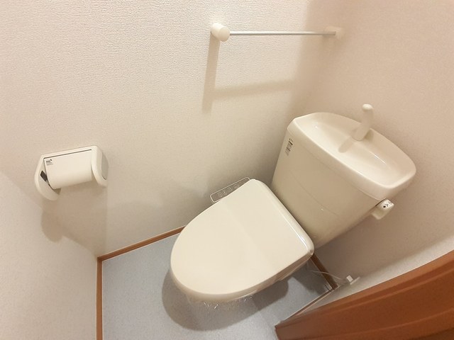 グラシアス その他2