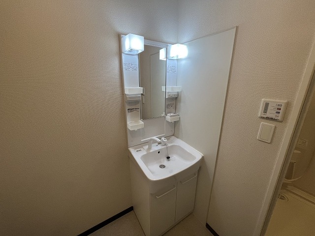 レオネクストリバーサイド柏原 その他4